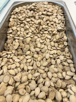 Mubakhar Watermelon Seeds