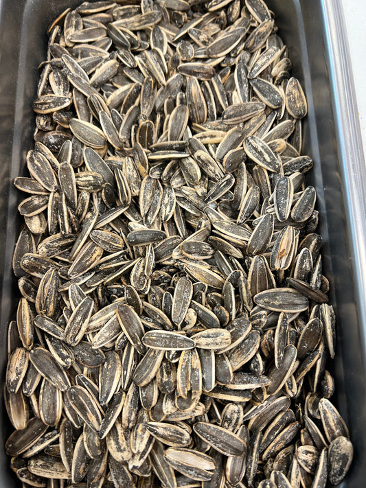 Sunflower Seeds