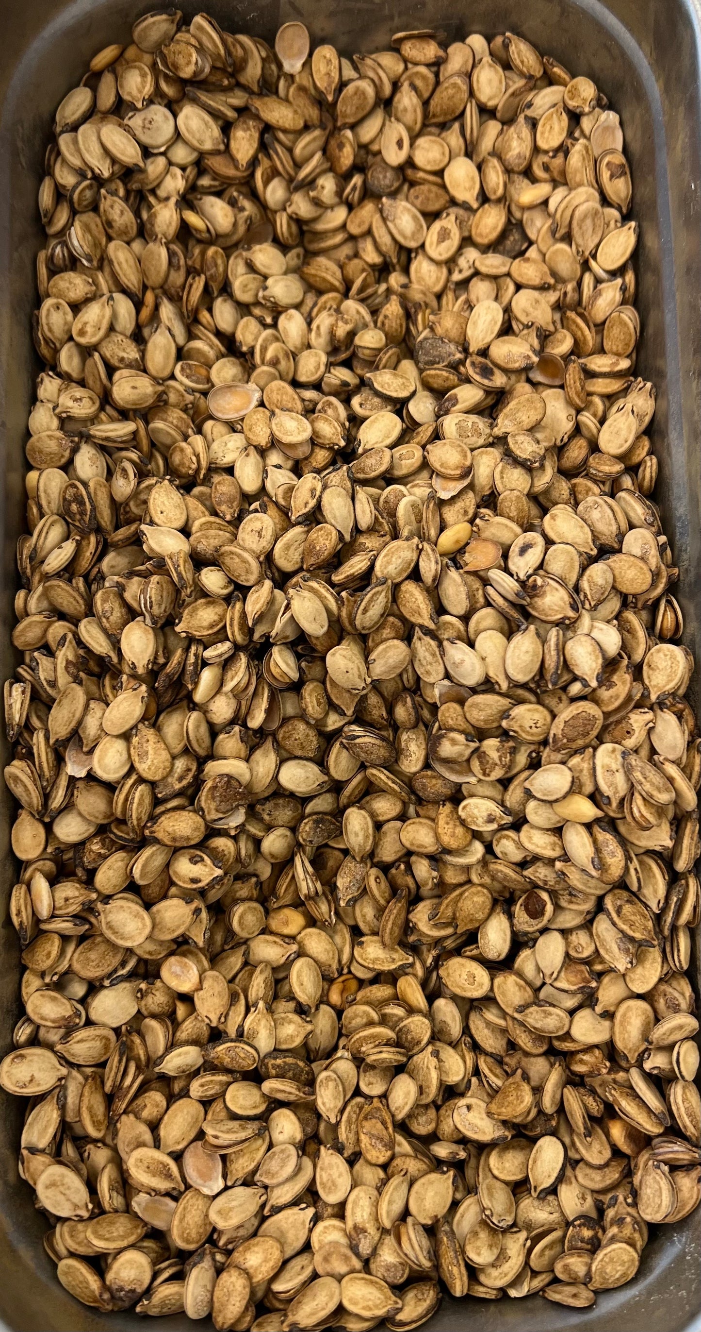 Salted Seeds