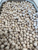 Salted Chick Peas